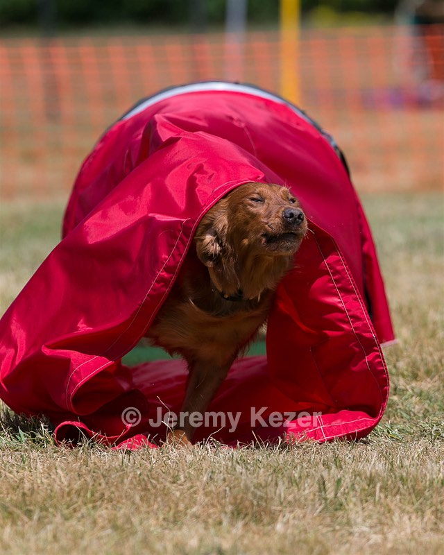 20150613-CCKC-0123.jpg