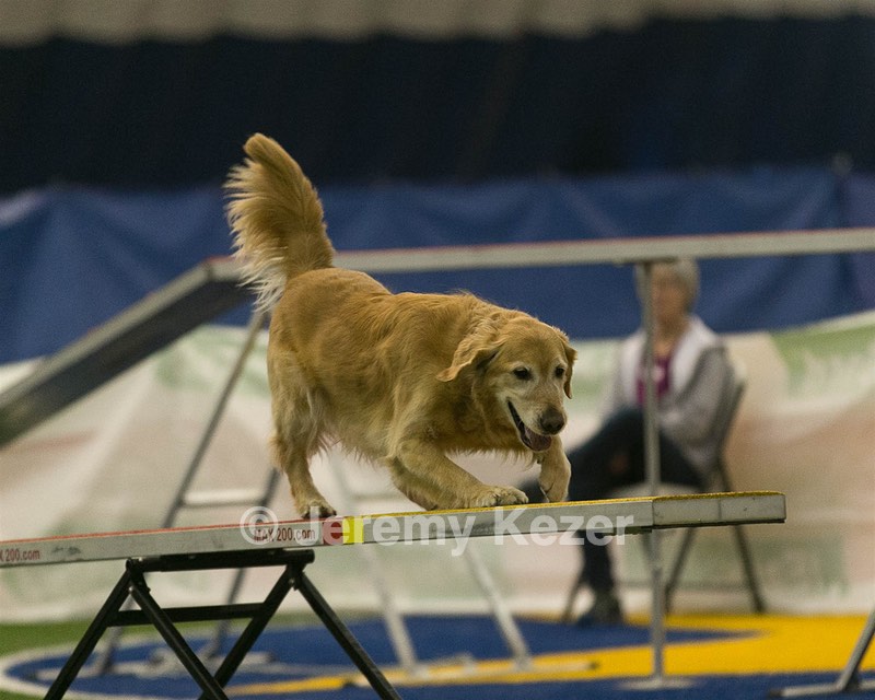 20150321-LEAP-0712.jpg
