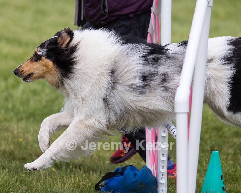 20160515-NEAT-1685.jpg
