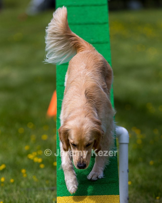 Ollie Erbe