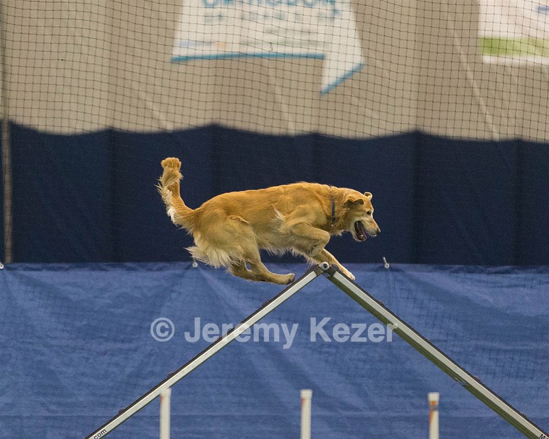 20150321-LEAP-0706.jpg