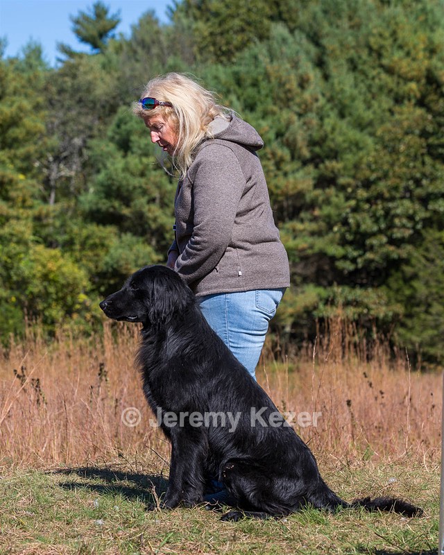 Ruger Bodine
