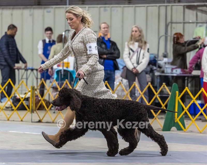 17 - MADCAP TIL MOON BECOMES SUN O'MORN (Canon)