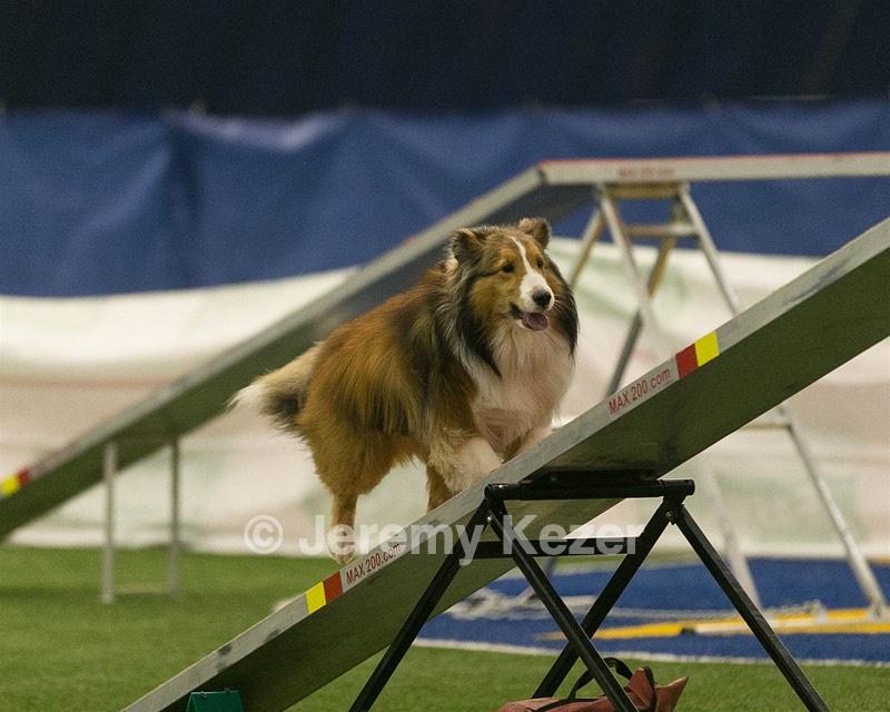 20150321-LEAP-1389.jpg
