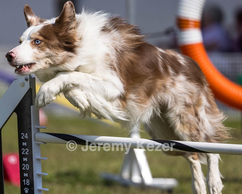 Furgus Howard