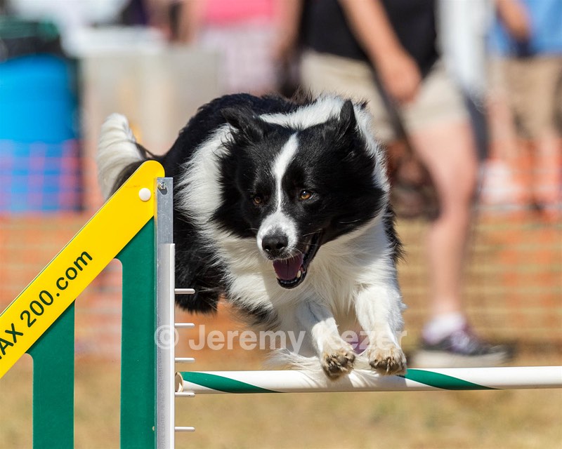 20160619-CCKC-1790.jpg
