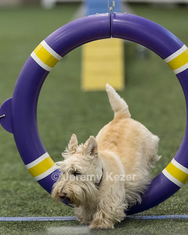 Monty Krapf