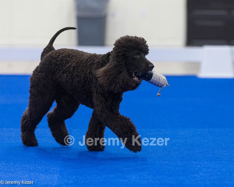 20240522-FT-0062.jpg
