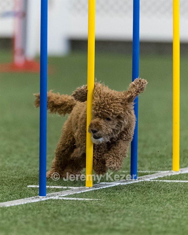 Champ Soccodato