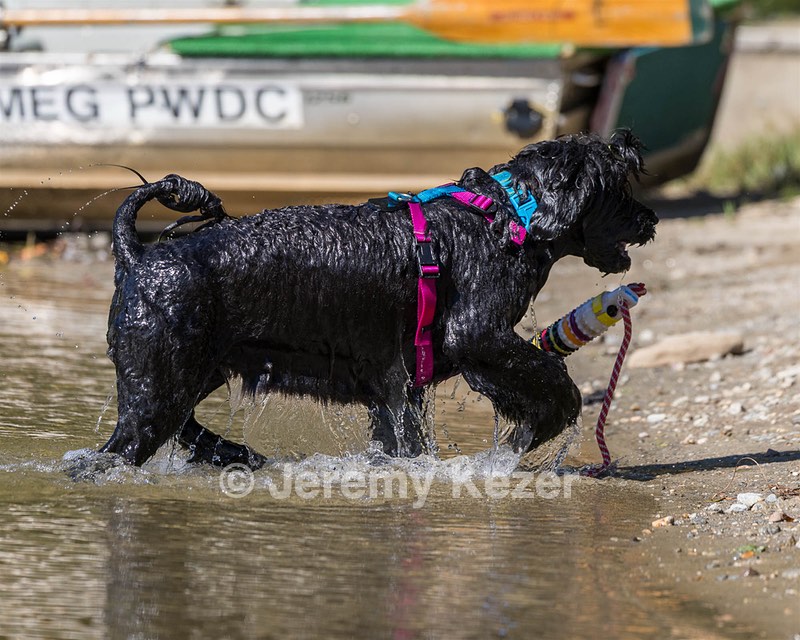 Penny Toby-Ann