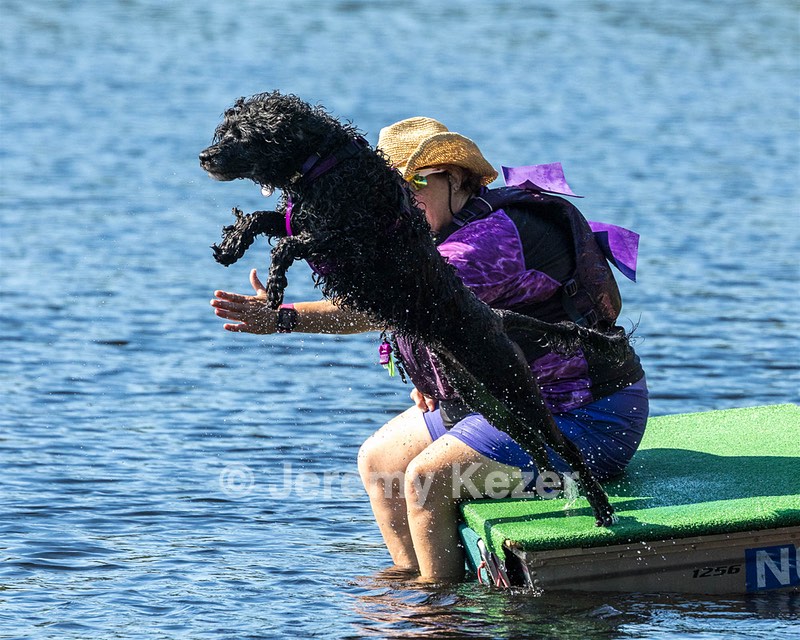 Zora Schaub