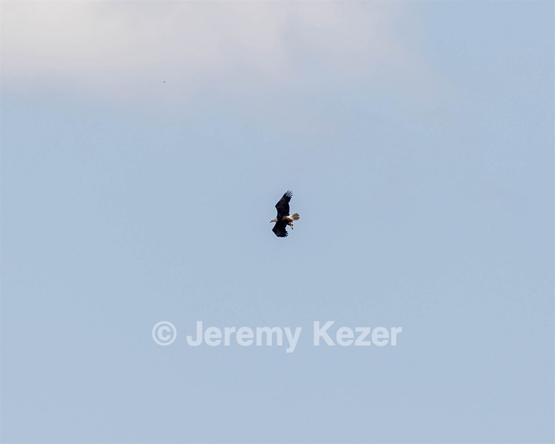 20190803-C-0016.jpg