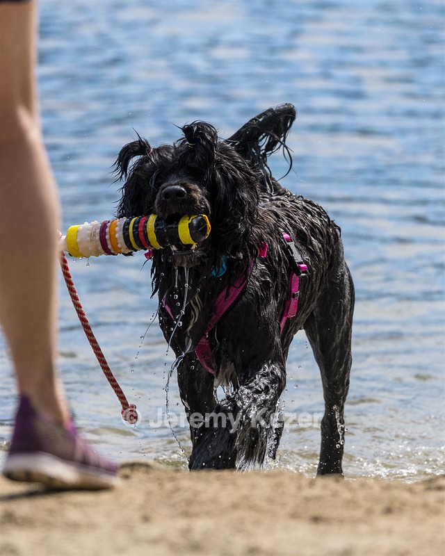 Penny Toby-Ann