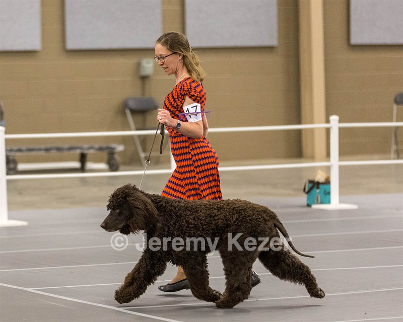 17 - Ballyhoo’s V Finnegan Mcneill BN FDC CA BCAT DS DJ CGCA TKN VHMA JH JHU WD
