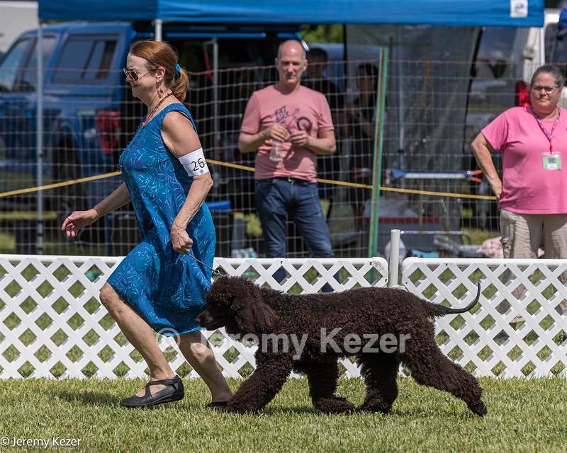 26 - Riverdance Enya Of Lake Alexander