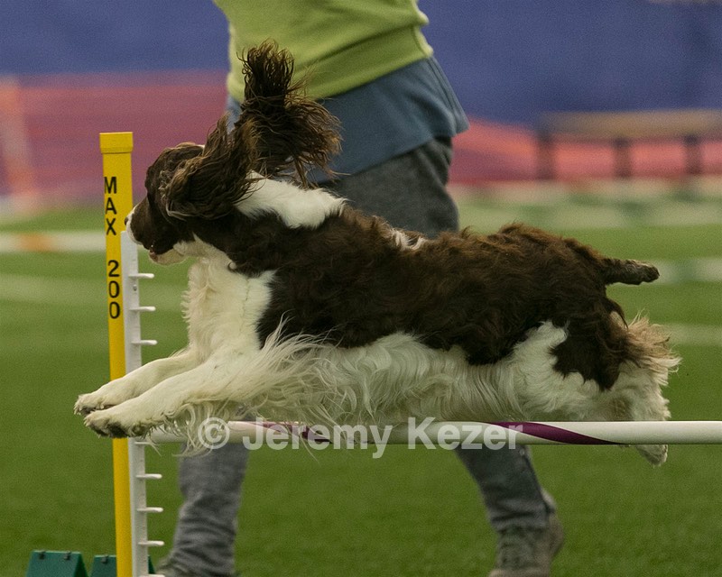 20150321-LEAP-1320.jpg