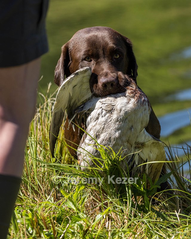 Gunny Fisher