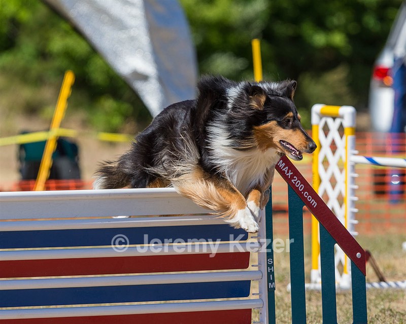 20160619-CCKC-1619.jpg