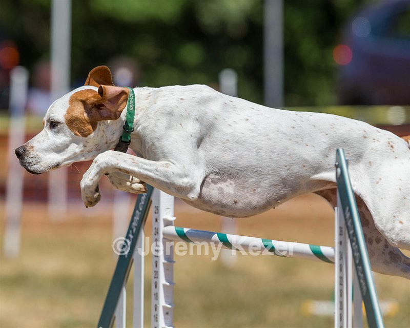 Deena Pereira