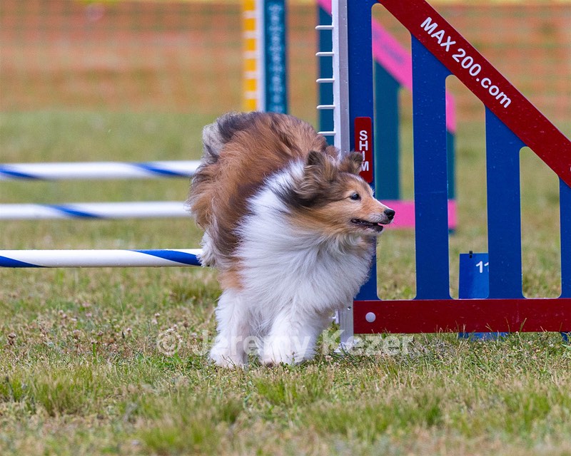 20190616-CCKC-0043.jpg