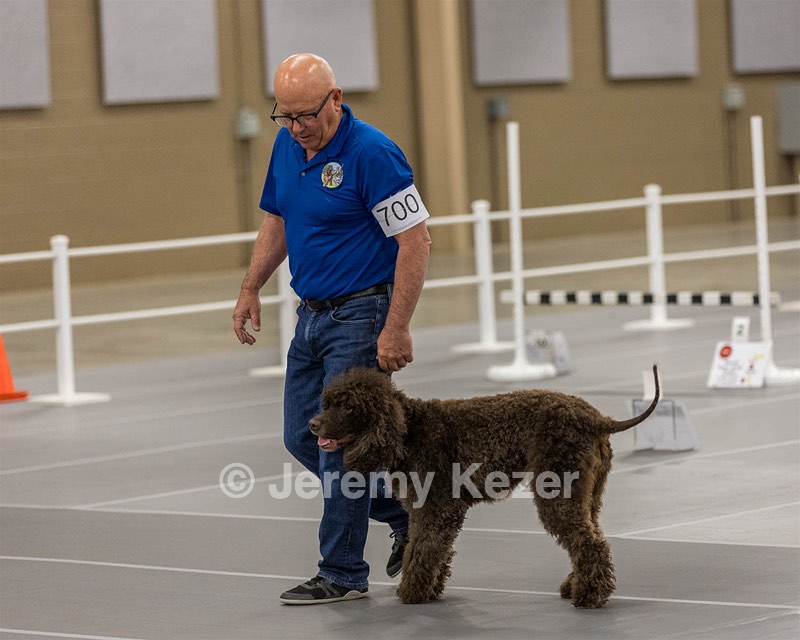 700 - GCH Blackthorn’s Lass That Loves A Sailor in Wicklow CD RM CGC