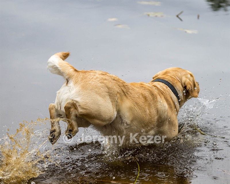 Tillie Kase