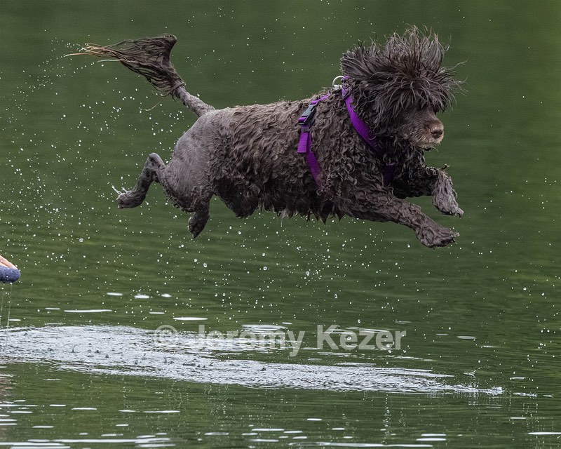 Jeepers Simmons