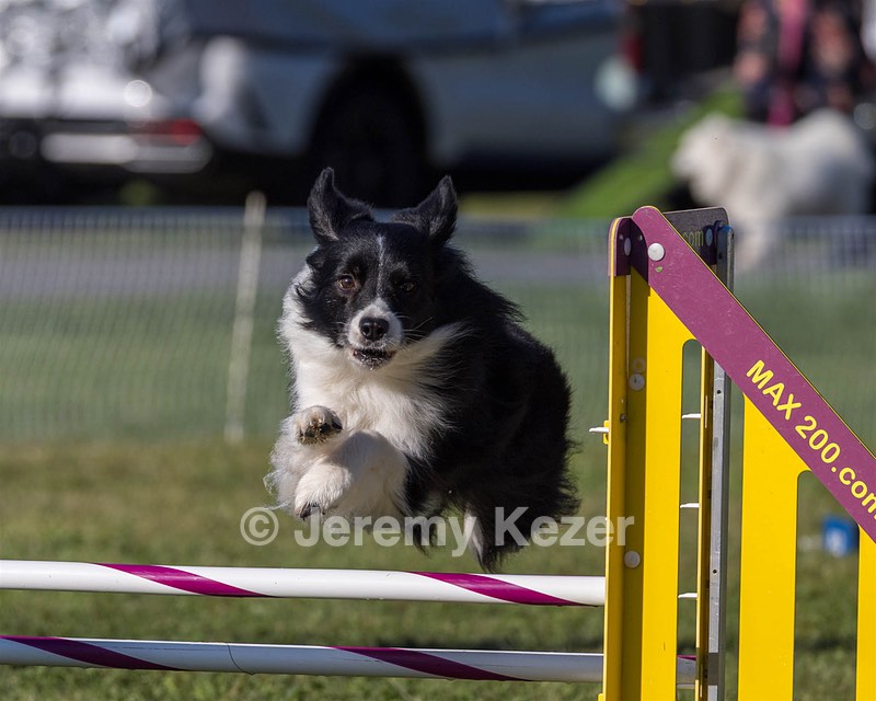 20230917-PVKC-2038.jpg