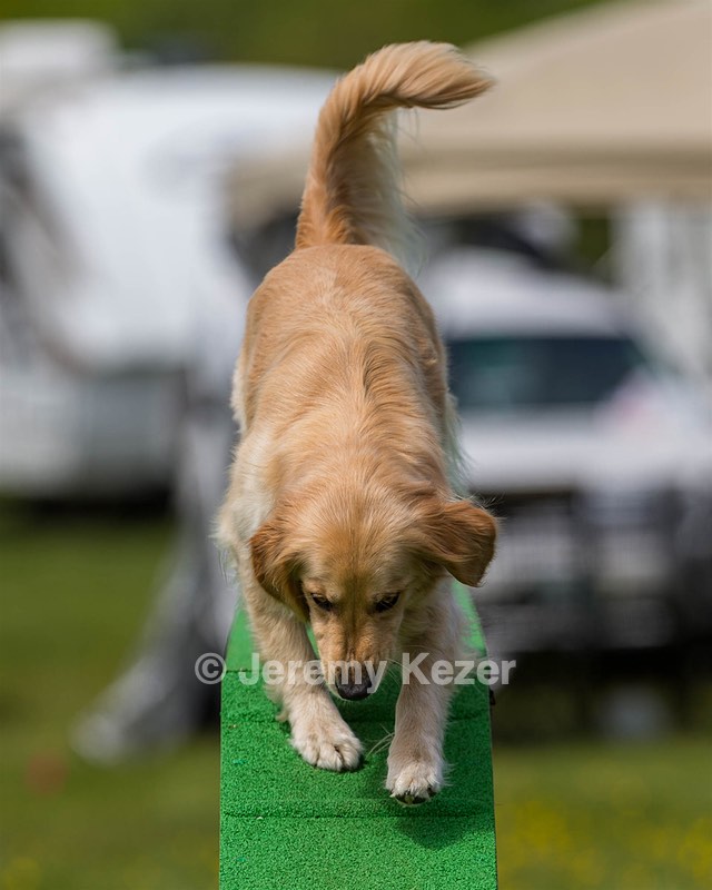 Ollie Erbe