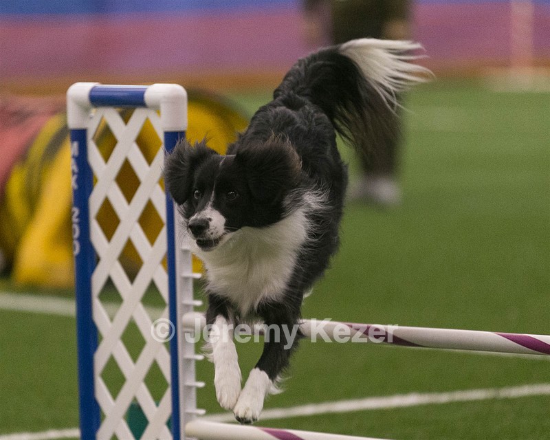 20150321-LEAP-0349.jpg