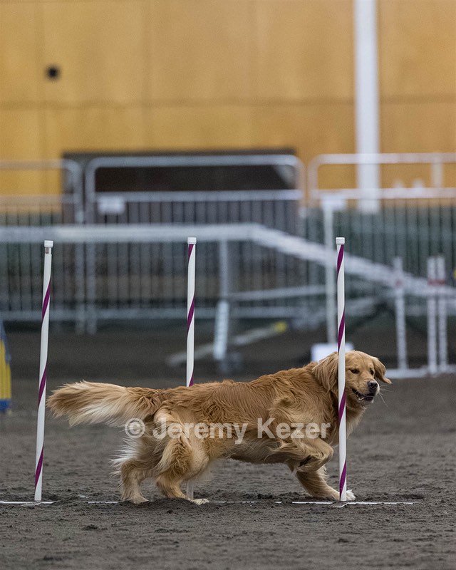 Pup-Pup Beaulieu