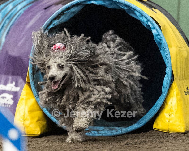 Peetie Sulewski