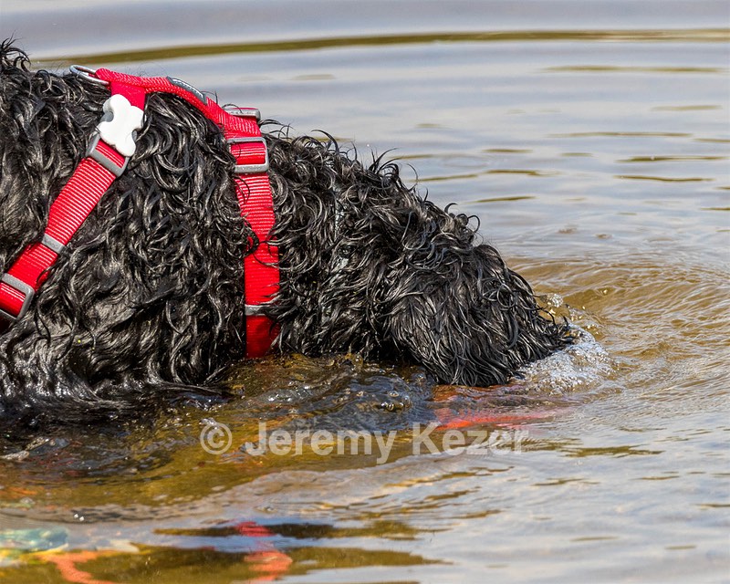 "Trixie" & Trish