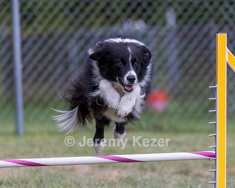 20200819-1891.jpg