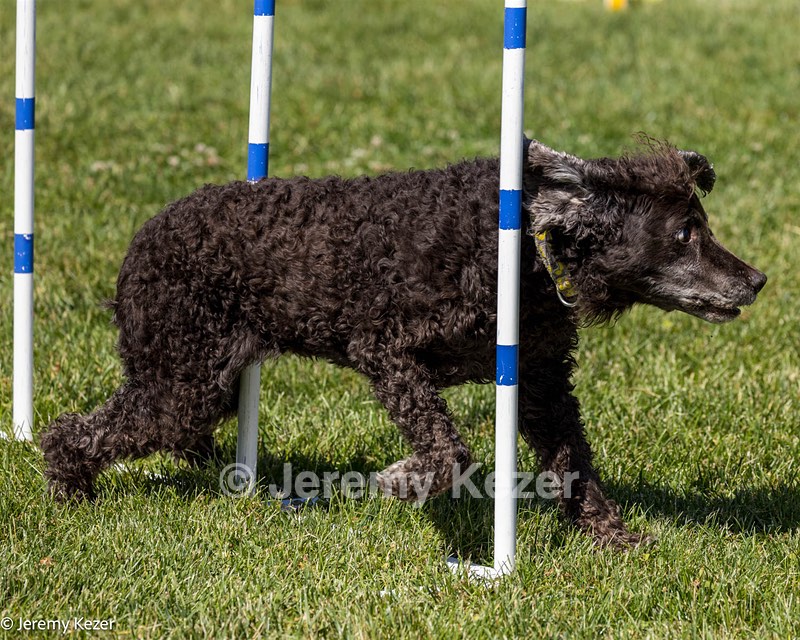 Glider