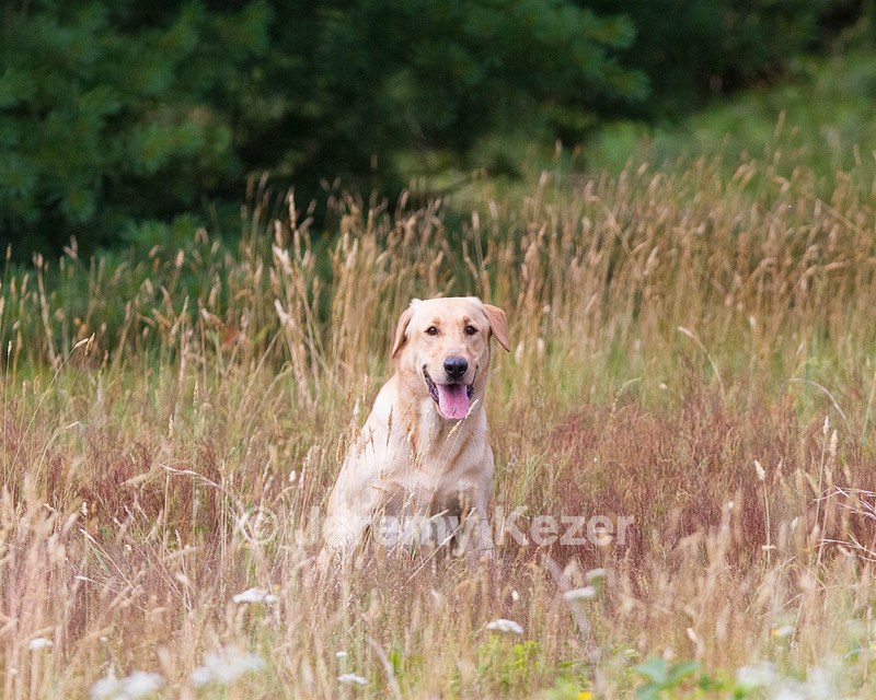 RUFF Millheim