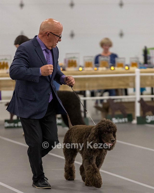 36 - GCH Blackthorn’s Lass That Loves A Sailor in Wicklow CD
RM CGC