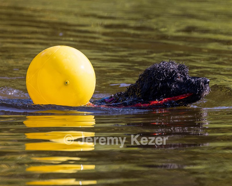 Perry