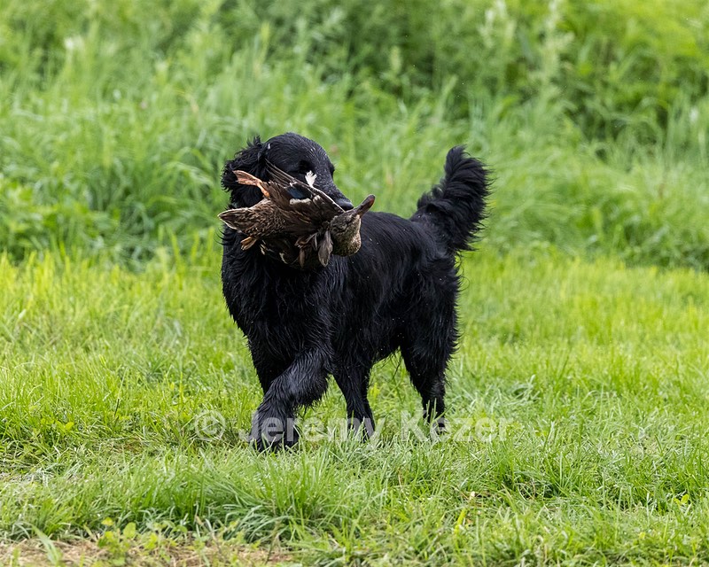 Cash Ogeka