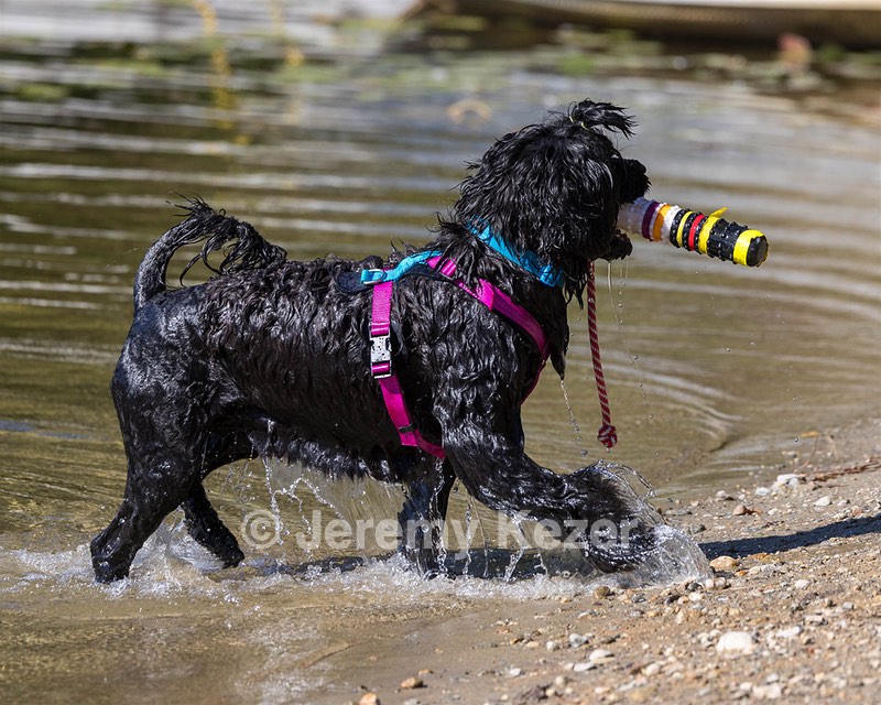 Penny Toby-Ann