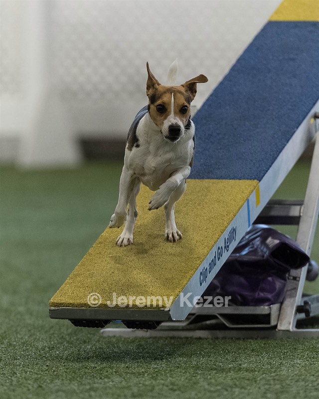 Moo Henderson