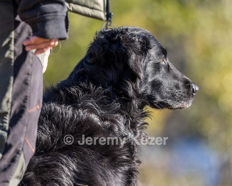 Gunner McCluer