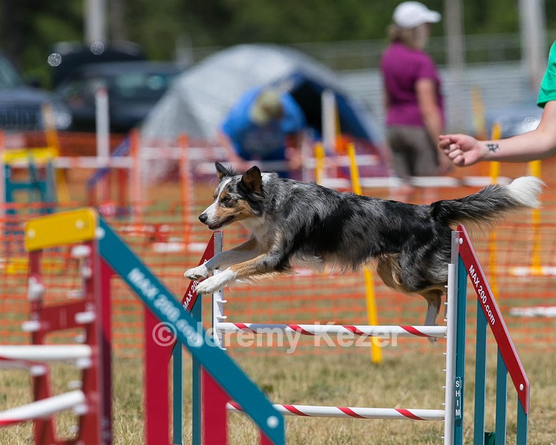 20150614-CCKC-1764.jpg