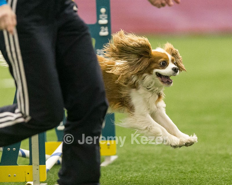 20150321-LEAP-1606.jpg