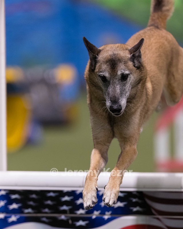 Beau-Beau Pfefferle