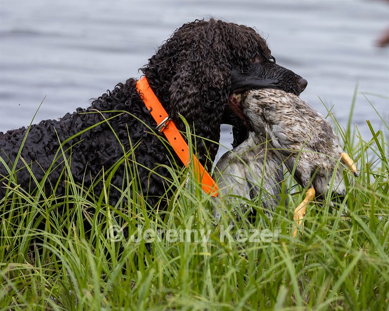 Ghillie Kezer
