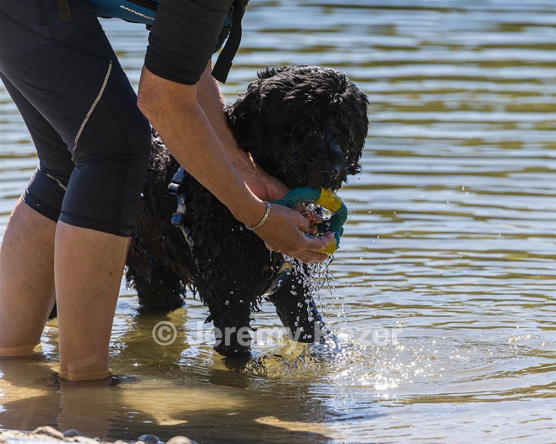 Oceano Sue