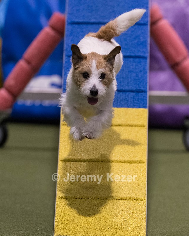 Teddy Caruso