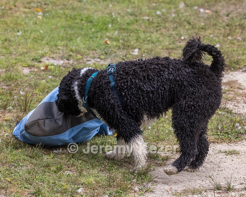 Ember Cavanagh
