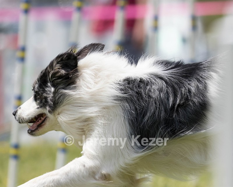 20160514-NEAT-0687.jpg